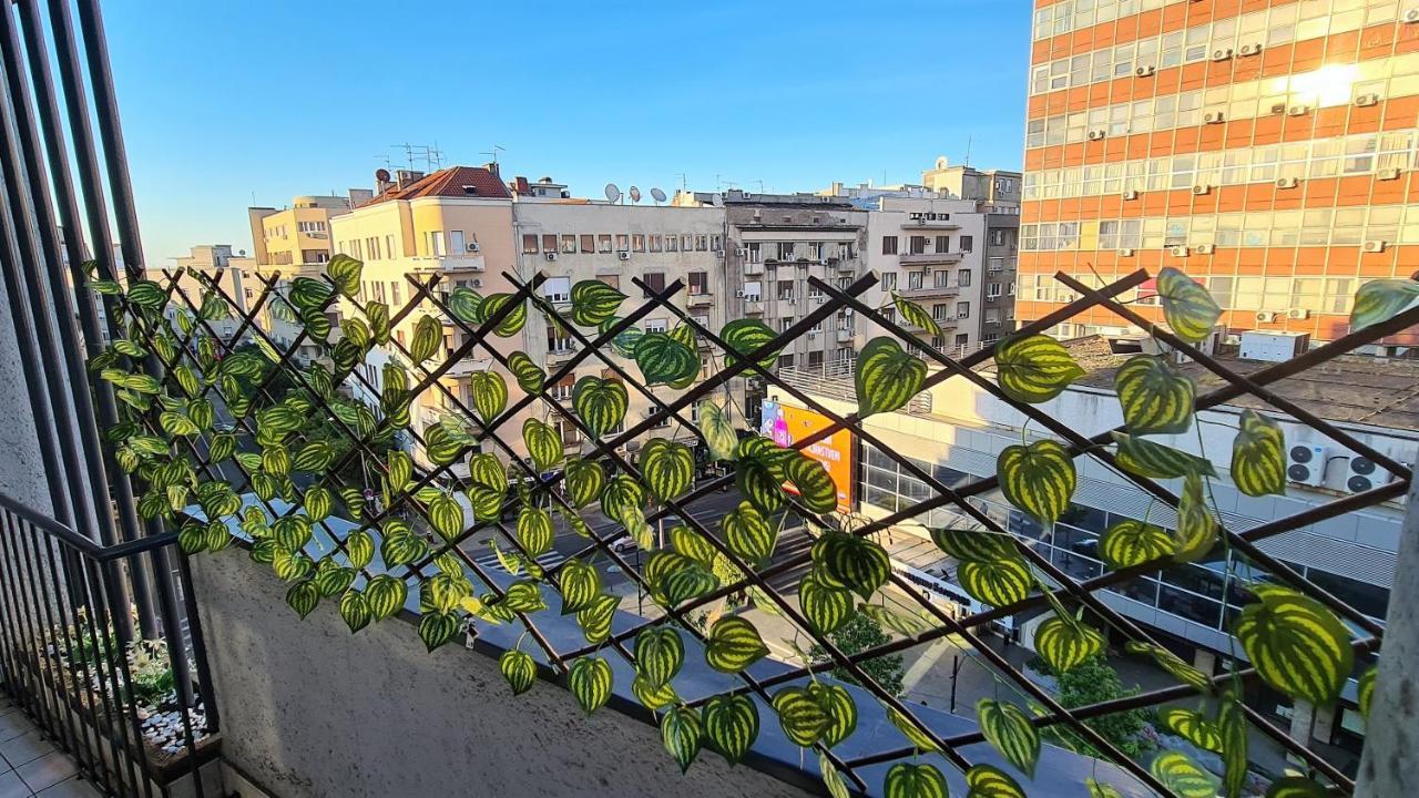 Windows City Apartment Belgrado Exterior foto